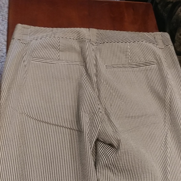 Loft Capri Pants - Picture 6 of 7